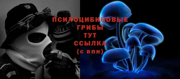 спайс Богородицк