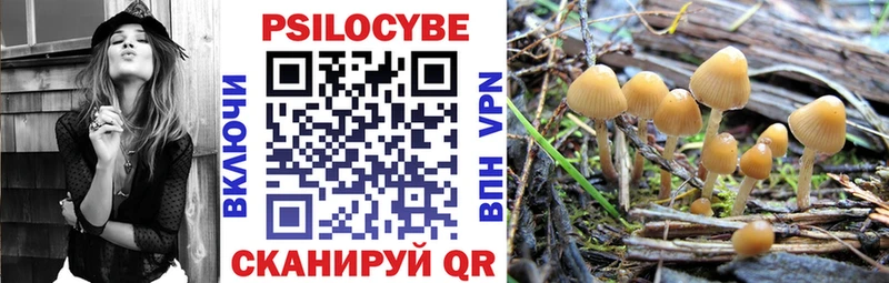 Псилоцибиновые грибы мухоморы  Купить  Кудымкар 